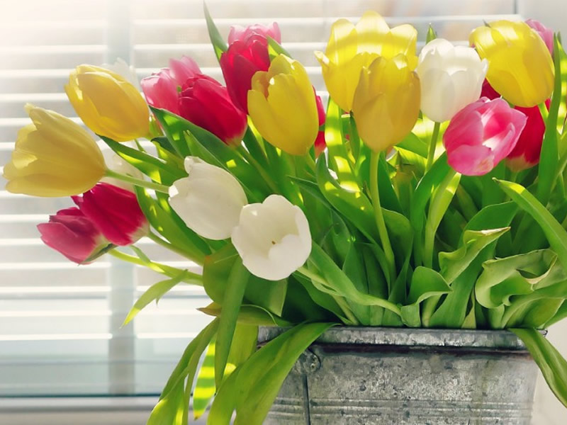 28/06/2018-4 Ways to Add a Burst of Summer into Your Home